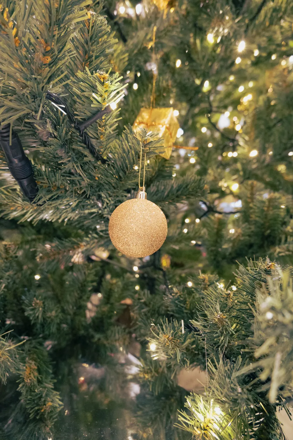 Close-up of a gold bauble on a beautifully lit Christmas tree with glowing lights.
